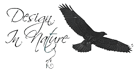 Design In Nature logo